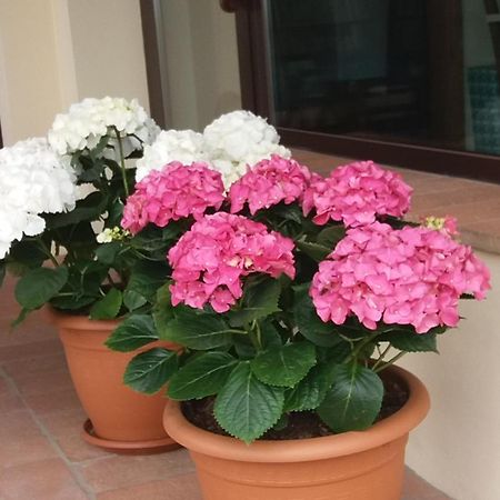 Il Fienile Holiday Home Le Fornacette Екстер'єр фото